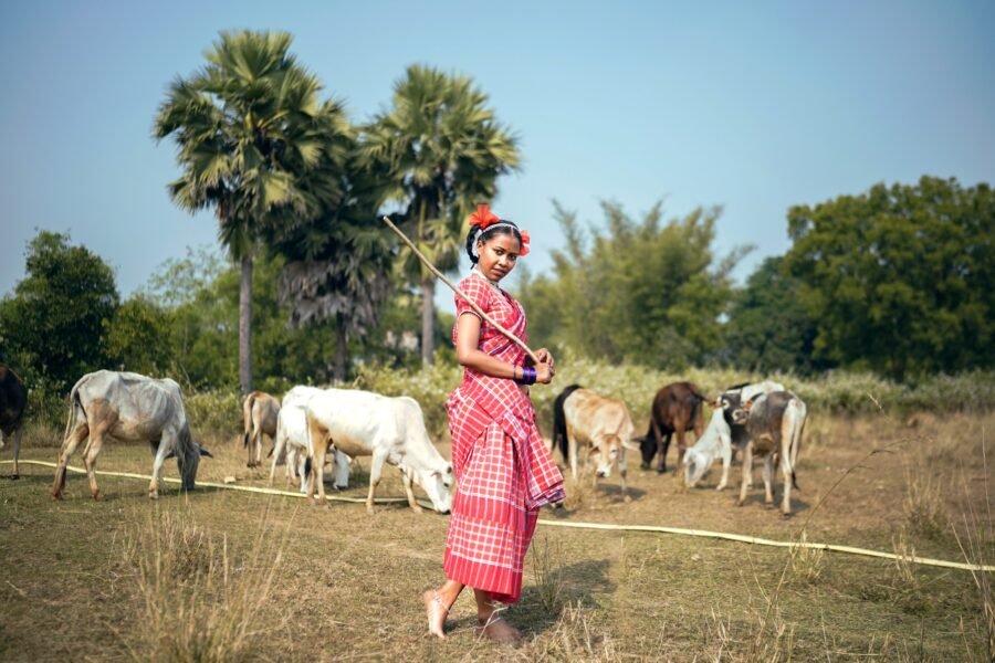 Shimul - Image 8
