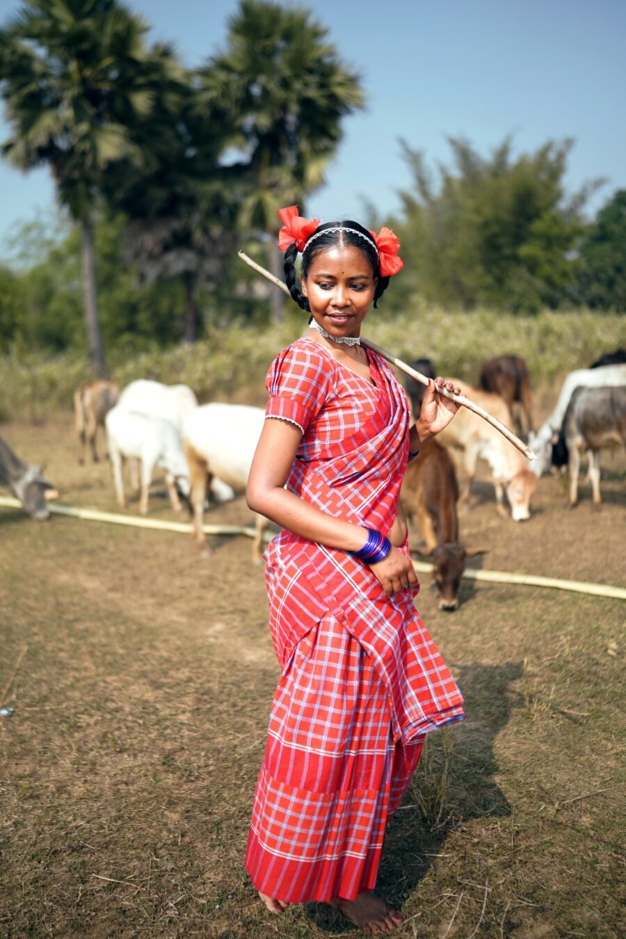 Shimul - Image 7